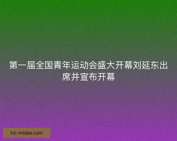 第一届全国青年运动会盛大开幕刘延东出席并宣布开幕 第一届全国青年运动会盛大开幕刘延东出席并宣布开幕